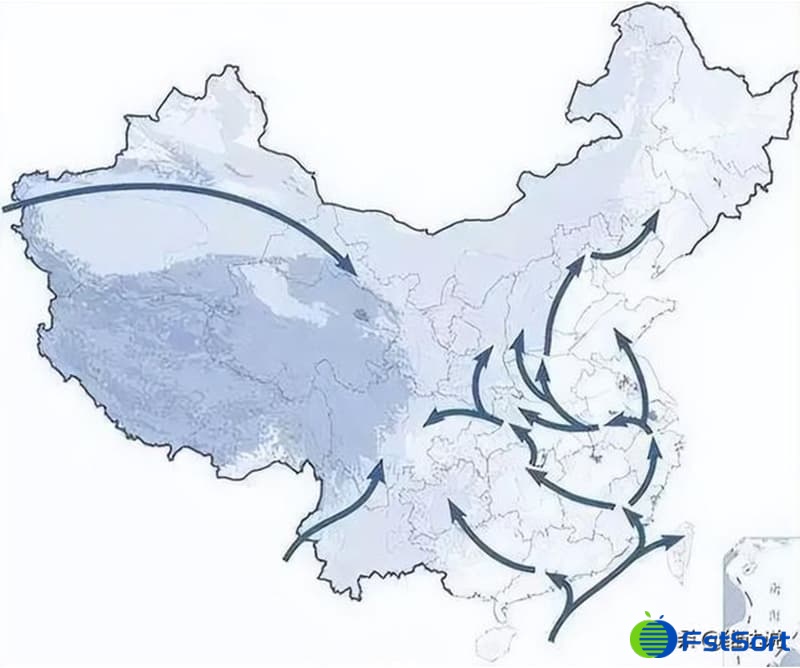 images/1679299190533sorting sweet potatoes.jpg